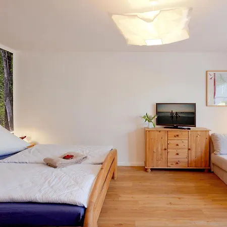 Wildtaube By Interhome